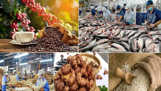 Экспорт сельскохозяйственной, лесной и рыбной продукции в январе достиг 3,7 млрд. долл. США