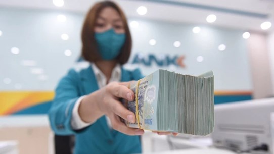 Вьетнам решает финансовую задачу по сокращению выбросов до нуля