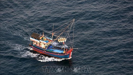 Ассоциация рыболовства Вьетнама выступила против одностороннего запрета Китая в Восточном море
