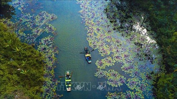 Всемирный день водно-болотных угодий 2023 года будет отмечаться во Вьетнаме различными мероприятиями