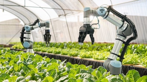 Наука, технологии и инновации обеспечат более 50% роста сельского хозяйства к 2030 году