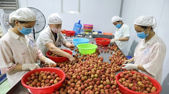 Соблюдение стандартов и качества для продвижения экспорта вьетнамских фруктов
