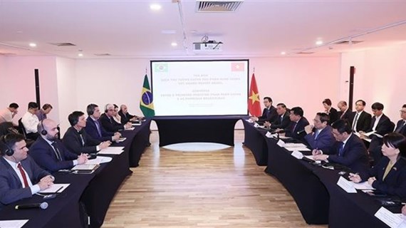 Вьетнамским и бразильским фирмам предлагается сотрудничать для увеличения товарооборота до 10 млрд. долл. США