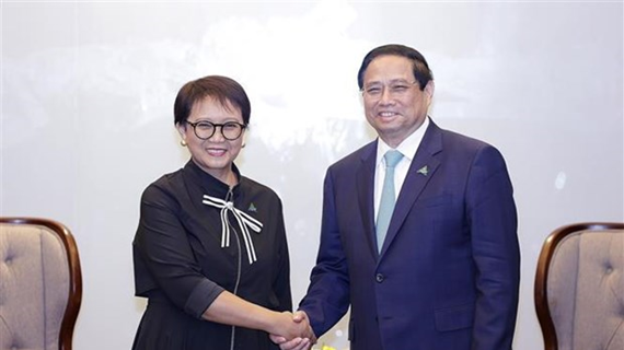 Премьер-министр принимает министра иностранных дел Индонезии