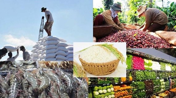 Республика Корея - растущий рынок для экспорта сельскохозяйственной, лесной и рыбной продукции Вьетнама