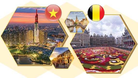 50-летие отношений сотрудничества между Вьетнамом и Королевством Бельгия