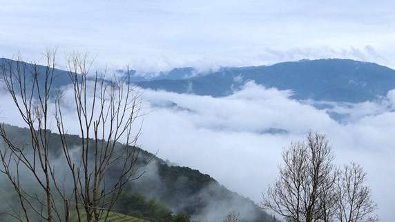 Каланг —место для охоты за облаками среди лесов северо-запада