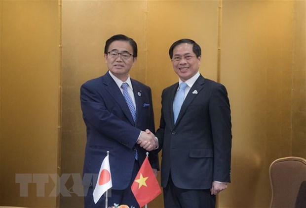 Вьетнам призвал поддержку многосторонности в конференции группы 20 hinh anh 3