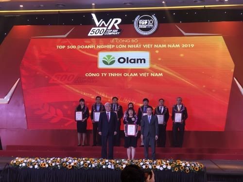 Названы 500 крупнеиших компании Вьетнама в 2019 году hinh anh 1