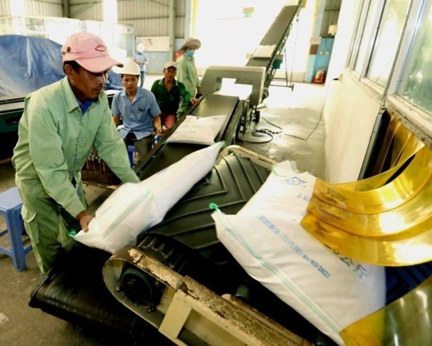 Почти 190 компании получили право на экспорт риса hinh anh 1