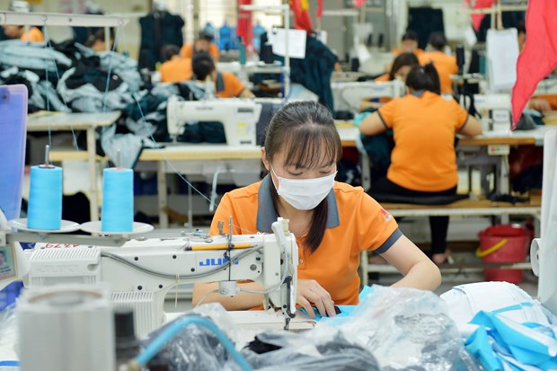 Статья 2: Узкие места приводят к тому, что текстильно-швеиная промышленность Вьетнама недостаточно обеспечивает себя вспомога hinh anh 5