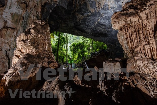 Удивительная красота “безымянным рая” - пещеры Тиен hinh anh 5