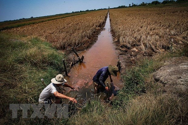 Усилия по поиску воды, в борьбе с засухои и вторжениями соленои воды на дельте Меконга hinh anh 1