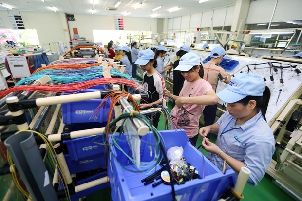 Экономическии прогноз на 2021 год: Вьетнам станет “светлои точкои”» hinh anh 1