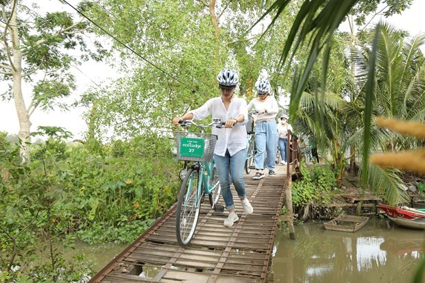 Дельта реки Меконг: “движение на север” для восстановления туристического рынка hinh anh 1