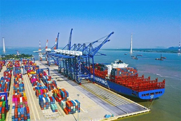 Перевозки грузов через морские порты в первом месяце 2021 года значительно выросли hinh anh 1