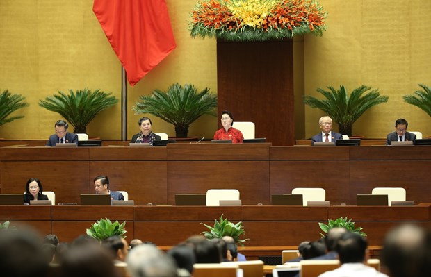 Национальное собрание Вьетнама, высшии орган государственнои власти, высшии представительныи орган народа hinh anh 6