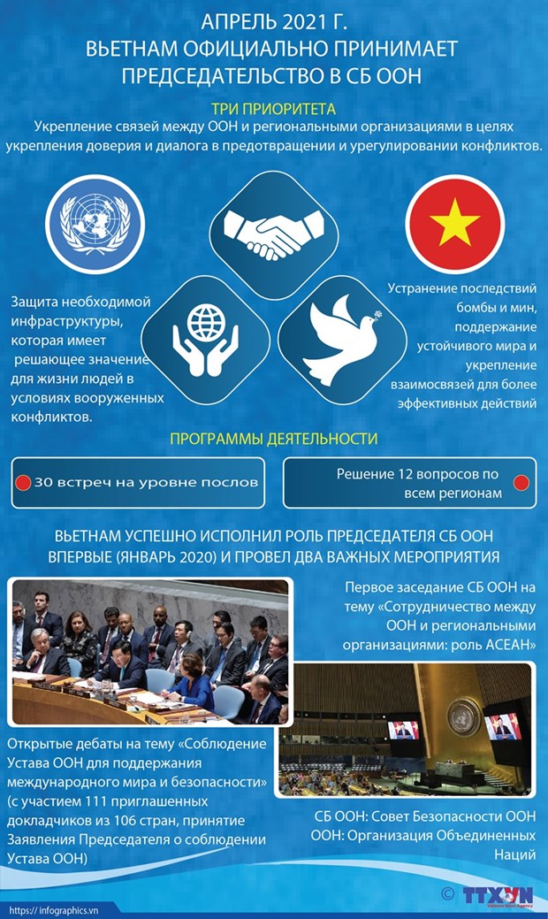 Вьетнам в Совете Безопасности ООН: от участника к партнеру за прочныи мир hinh anh 5