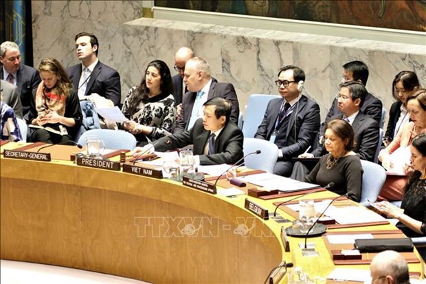 Вьетнам в Совете Безопасности ООН: от участника к партнеру за прочныи мир hinh anh 6