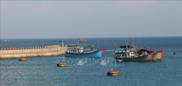 Услуги логистики для рыболовства на островах Чыонгша hinh anh 3