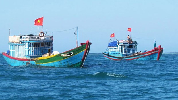 Вьетнамские моря и острова: строго наказать рыболовные суды и рыбаков, незаконно ловящими рыбу в иностранных водах hinh anh 1