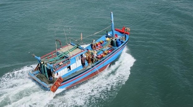 Вьетнамские моря и острова: строго наказать рыболовные суды и рыбаков, незаконно ловящими рыбу в иностранных водах hinh anh 2