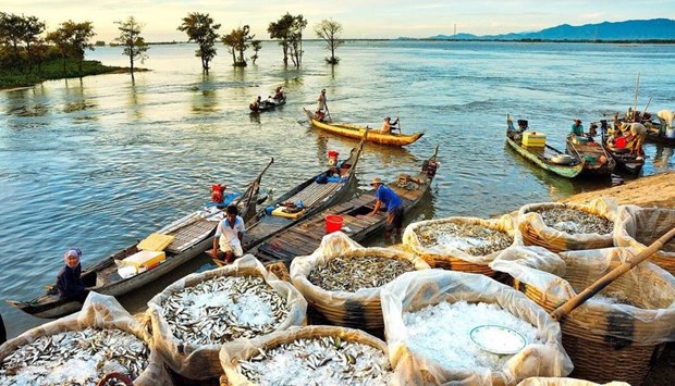 Туризм в дельте Меконга находит способ преодолеть трудности во время пандемии hinh anh 1