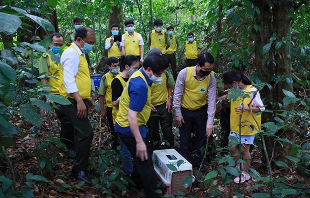 Инициатива по отпуску животных в природу в национальном парке Вьетнама hinh anh 1