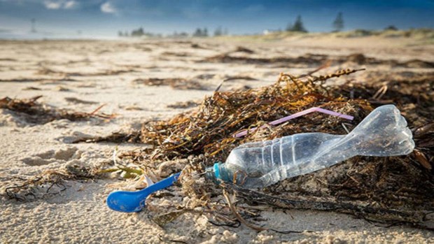 Вьетнам стал пионером в заключении глобального соглашения о пластиковых отходах океана hinh anh 2