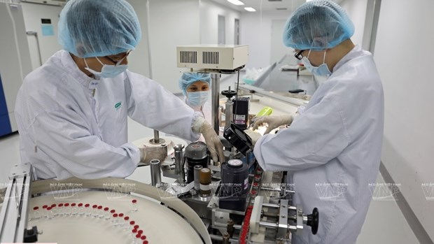 К 2025 году Вьетнам освоит технологию производства 10 вакцин hinh anh 1