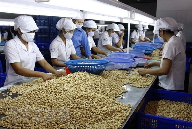 Налоговые льготы ЗСТ Вьетнам и ЕАЭС: возможности для увеличения экспорта сельскохозяиственнои продукции из Вьетнама hinh anh 1