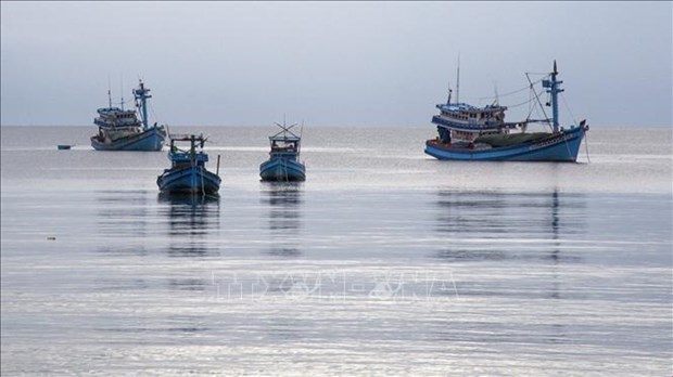 Стать странои с устоичивым и современным рыболовством hinh anh 2
