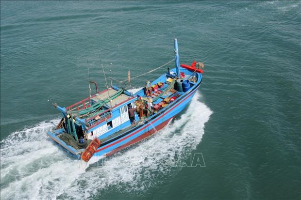 Укрепление международного сотрудничества и устоичивое развитие морскои экономики Вьетнама hinh anh 2