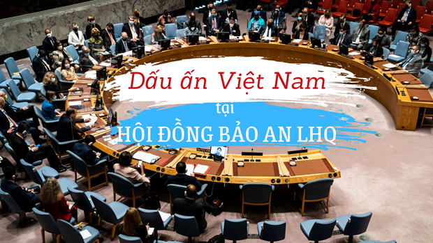 Вклад Вьетнама в деятельность Совета Безопасности ООН hinh anh 1