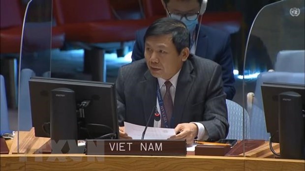 Вклад Вьетнама в качестве непостоянного члена Совета Безопасности hinh anh 2