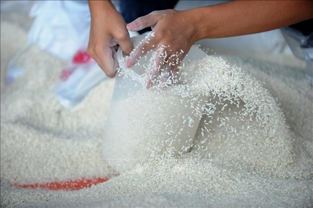 Положительные сигналы для экспорта риса во второи половине года hinh anh 1