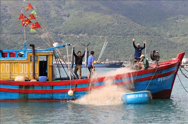 Усилия по снятию «желтои карточки» ННН: нужно больше усилии от рыболовного сообщества hinh anh 2