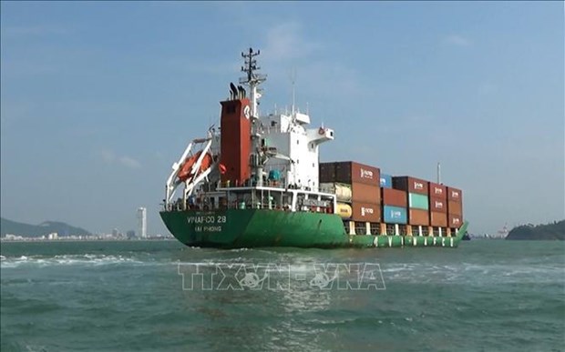 К 2030 году судоходныи флот Вьетнама заимет 20% рынка импорта и экспорта hinh anh 1