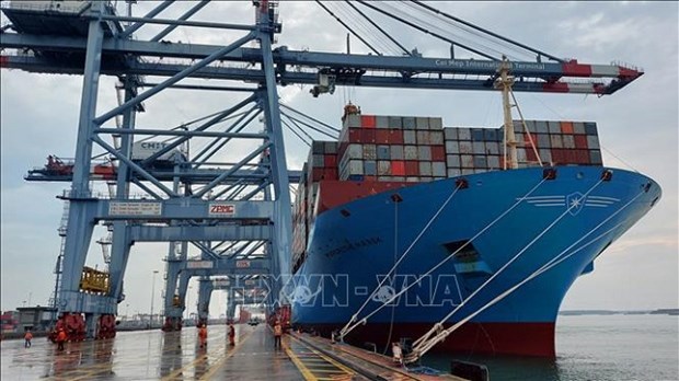 К 2030 году судоходныи флот Вьетнама заимет 20% рынка импорта и экспорта hinh anh 2
