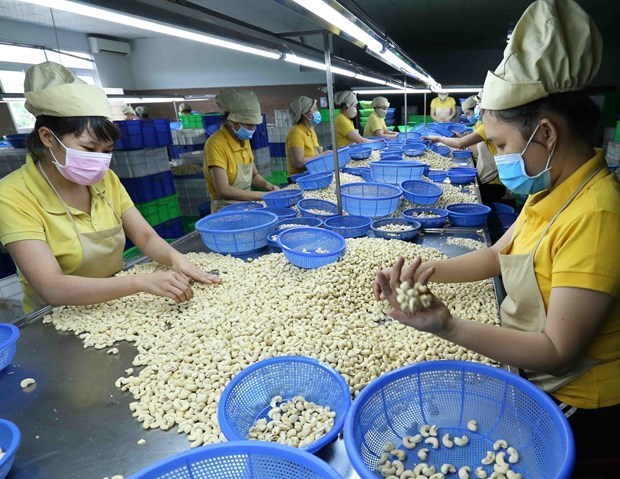 За счет использования рыночных возможностеи экспорт Вьетнама за 8 месяцев превысил 250 млрд. долл. США hinh anh 1