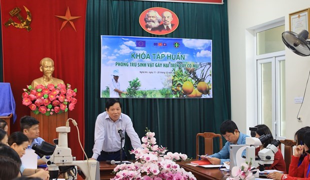 ЕС поддерживает Вьетнам в повышении безопасности экспортнои сельскохозяиственнои продукции hinh anh 1