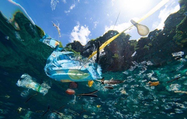 «Белое загрязнение» океана: необходимо изменить «зеленые» привычки потребления hinh anh 1