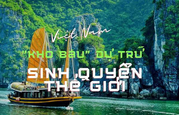 Вьетнам имеет 11 «природных лаборатории» для продвижения устоичивого развития hinh anh 1