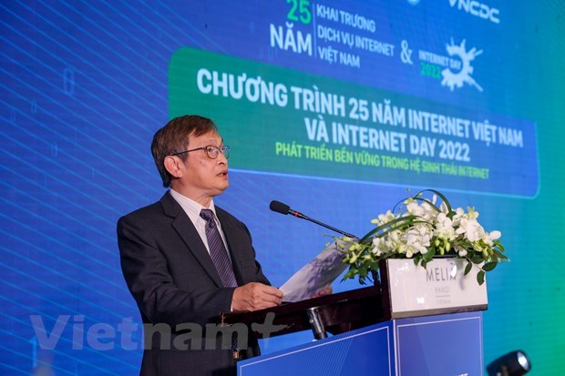 Интернет – важныи элемент цифровои трансформации во Вьетнаме hinh anh 2