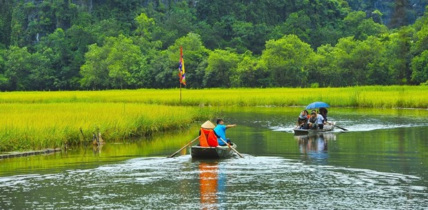 Вьетнамскии отчет: ожидается, что индустрия туризма восстановится раньше, чем до пандемии hinh anh 1