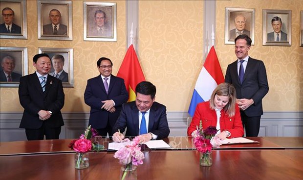 Посол: Многообещающее будущее двустороннего сотрудничества Вьетнама и Нидерландов hinh anh 2