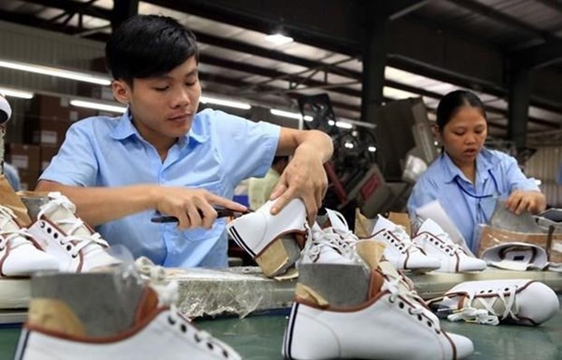 Вьетнам переходит на международные нормы труда hinh anh 1