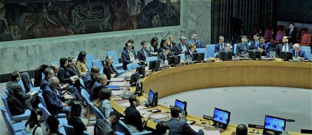Вьетнам председательствовал на заседании Совбеза ООН по обсуждению ситуации в Мали hinh anh 1