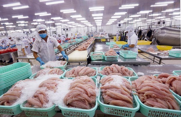 Вьетнам планирует экспортировать рыбы на 9 млрд. долларов США в 2020 году hinh anh 1
