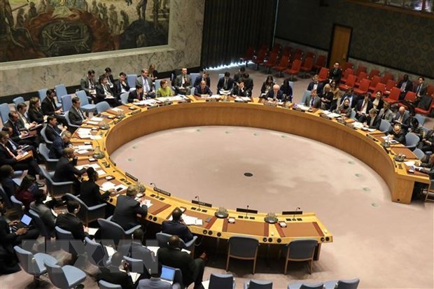 Вьетнам председательствует на заседании Совета Безопасности ООН по вопросам на Кипре и в Ливии hinh anh 1
